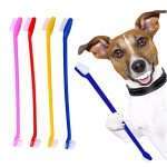 cani domestici piccoli