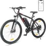 bicicletta elettrica