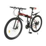 bici pieghevole