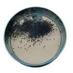 attrezzatura per il giardinaggio