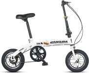 bici pieghevole