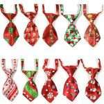 cani domestici piccoli