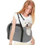 cani domestici piccoli