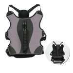 cani domestici piccoli