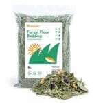 animali domestici piccoli