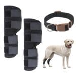 articoli per animali domestici