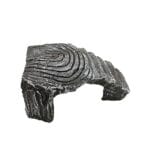 animali domestici piccoli