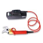 attrezzi per il giardinaggio