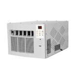 animali domestici piccoli