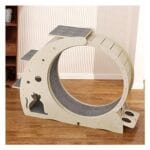 cani domestici piccoli