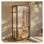 cani domestici piccoli