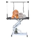 cani domestici piccoli