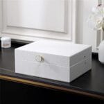 animali domestici piccoli