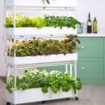 attrezzatura per il giardinaggio