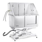 cani domestici piccoli