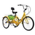 bicicletta