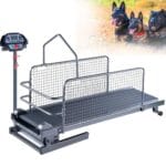 cani domestici piccoli