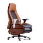 cani domestici piccoli