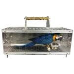 animali domestici piccoli