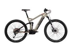 bicicletta elettrica