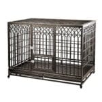 cani domestici piccoli