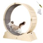 animali domestici