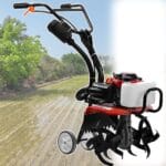 giardinaggio in inglese