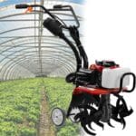 giardinaggio in inglese