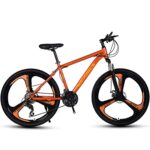 accessori bicicletta elettrica