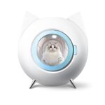 cani domestici piccoli