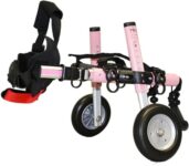 articoli per animali domestici