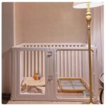 animali domestici piccoli