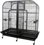 animali domestici piccoli