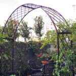 giardinaggio in inglese