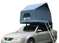 animali domestici piccoli