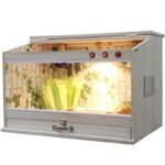 cani domestici piccoli