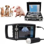 animali domestici piccoli