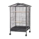 articoli per animali domestici