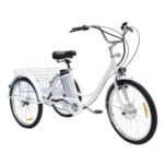 bicicletta elettrica