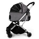 cani domestici piccoli