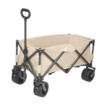 animali domestici piccoli