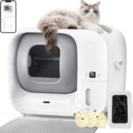 animali domestici piccoli