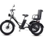 bicicletta elettrica