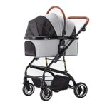 cani domestici piccoli