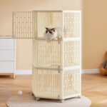 cani domestici piccoli