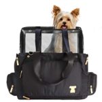 cani domestici piccoli