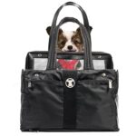 cani domestici piccoli