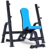 JKJZSALJ Panca Multifunzione per Pesi, Bilanciere, Panca per Squat, Panca con Manubri, Sedia per Fitness, Attrezzatura per Fitness, Panca con Manubri (Blu 1477450 Cm)