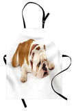 ABAKUHAUS Bulldog Inglese Grembiule, Animal Triste, Comodo per la Cucina Unisex con Collo Regolabile per Cucinare Cuocere Arrostire e Giardinaggio, Crema Brown