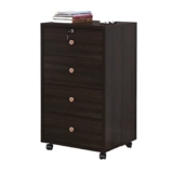 Armadietto per schedari Armadietto per schedari per Ufficio in Legno Pavimento Mobile Armadietto Basso Armadietto per Dati Armadietto per attività Armadietto per cassetti con Serratura Armadietto PE